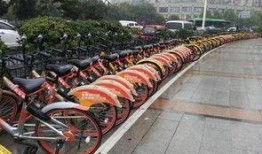 郑州自行车爆料事件视频,真相与争议交织的街头冲突